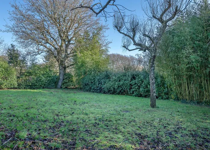 Maison Moderne Avec Jardin Pour 8 - 펜션 *